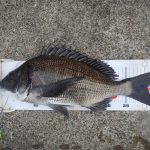 新場所開拓成功!!久しぶりに痺れた。