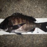 竿先の際狙いで45.5cm 1.6kgをゲット
