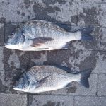 必ず釣れるけど…。
