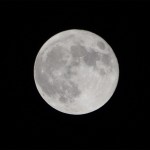 釣行回数減の9月
