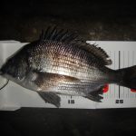 久しぶりの地磯釣行は楽しかった。