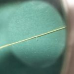 シマノのサスペンドPEライン、ダメだな。