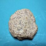 サナギダンゴの新バージョン、ヒロキューの「荒びきさなぎ」は凄かった。