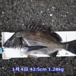 今年一年を振り返って